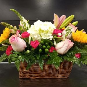 Meet your Posher, Anne